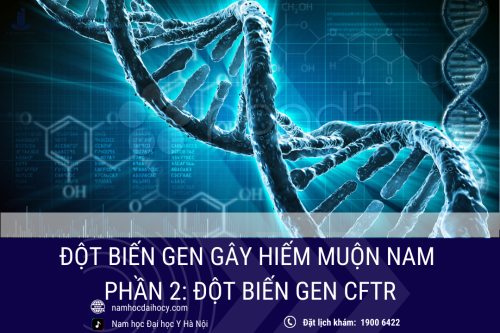 Đột biến gen thường gặp gây hiếm muộn nam (Phần 2): Đột biến CFTR